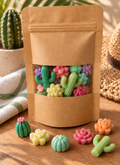 Wax melts Cactus